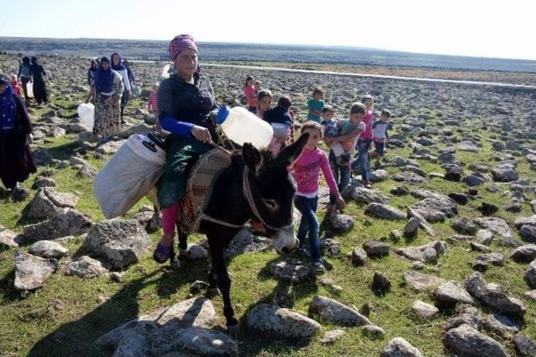 Eşek Sırtında Su Taşıyan Vatandaşlar &Ccedil;&ouml;z&uuml;m Bekliyor