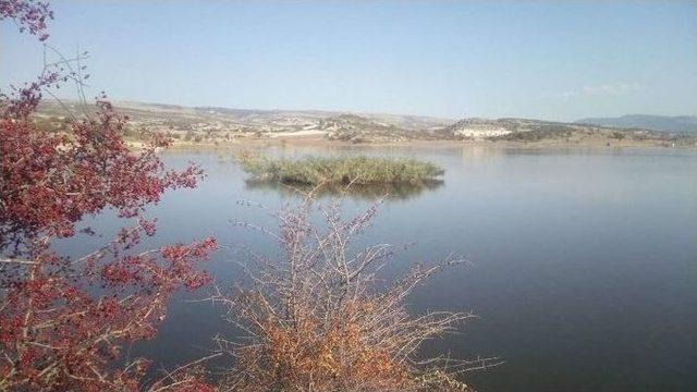 “kadın Gözüyle Afyonkarahisar” Projesi İhsaniye-döğer Etabı İle Devam Etti