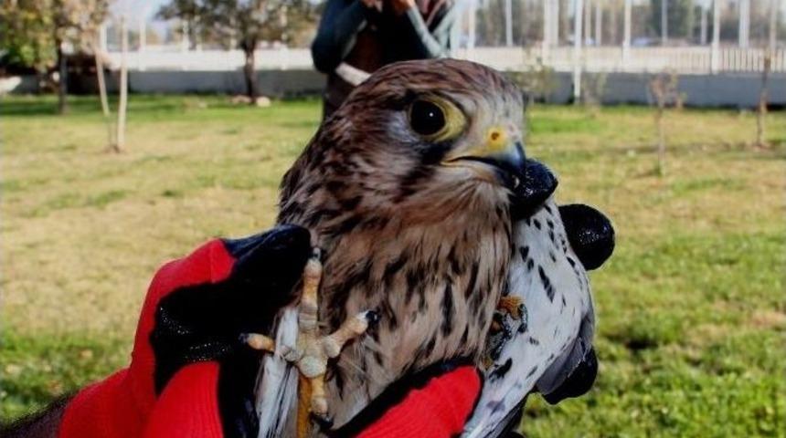 Sağlıklarına Kavuşan Kerkenezler Emniyet &Ouml;n&uuml;nde &Ouml;zg&uuml;rl&uuml;ğe U&ccedil;tular