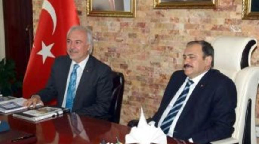 Kent Ormanı Ve &Ccedil;amlıca&rsquo;yı Belediye İşletecek