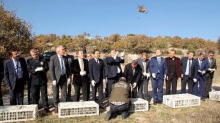 Bakan Veysel Eroğlu Doğaya Keklik Saldı