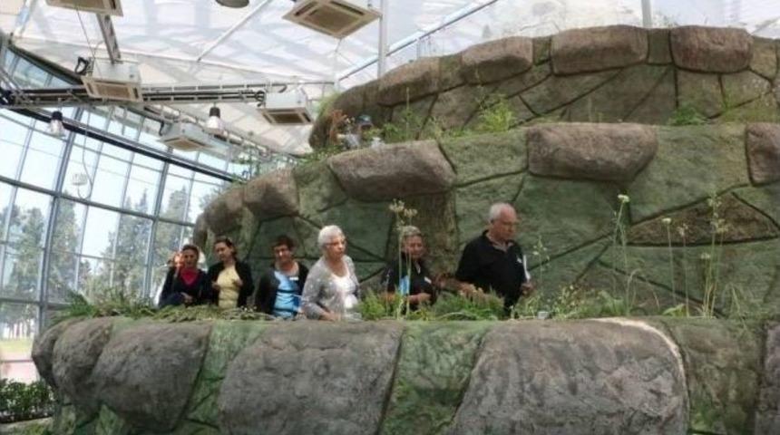 Geofit Bah&ccedil;esine Uluslararası İlgi