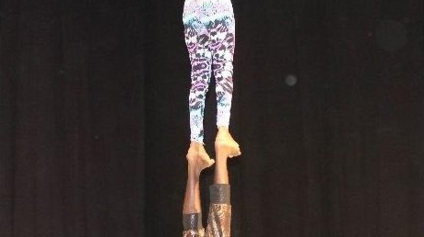 Afrika Sirki B&uuml;y&uuml;ledi