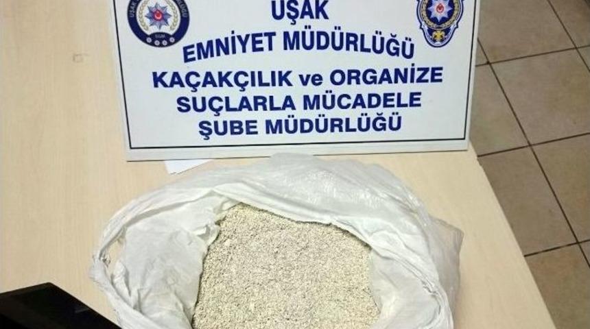 Uşak&rsquo;ta Bonzai Maddesi Ele Ge&ccedil;irildi