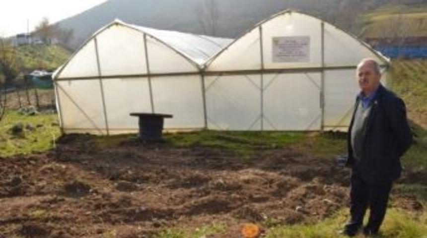 Yenik&ouml;y Sera İle Tanıştı