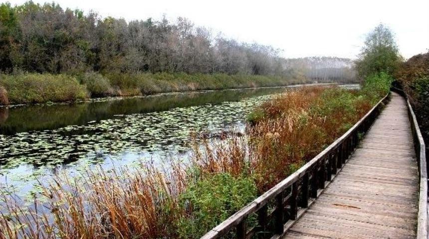 Acarlar Longozu&rsquo;nda Sonbahar G&uuml;zelliği