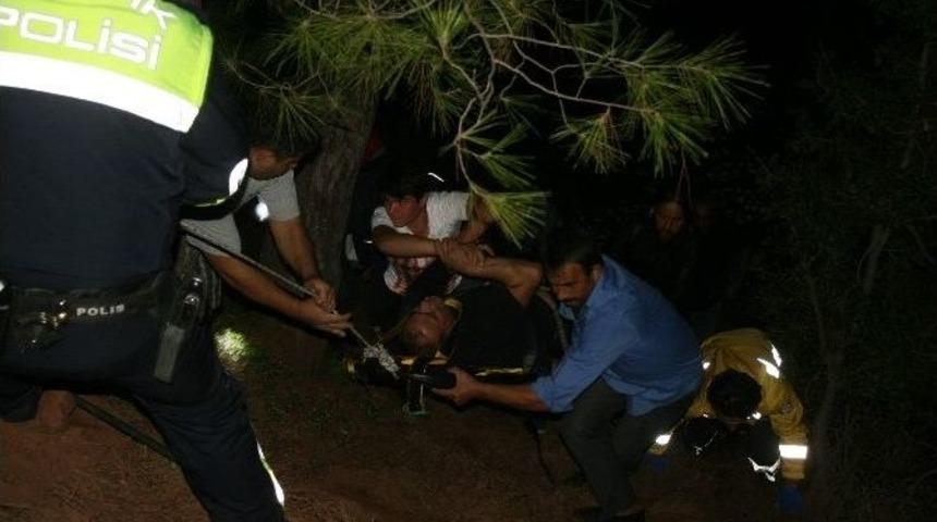 K&ouml;pek Saldırısı Kaza Yaptırdı: 2 Yaralı