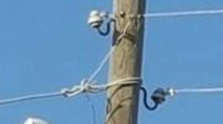 Afacan Kediyi Kep&ccedil;e İle Kurtardılar