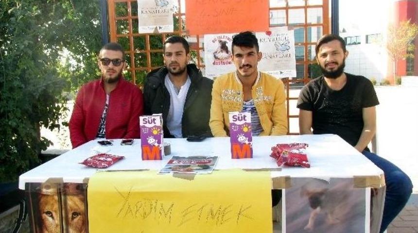 Ad&uuml;&rsquo;l&uuml; Gen&ccedil;ler Sahipsiz Sokak Hayvanları İ&ccedil;in Kampanya Başlattı