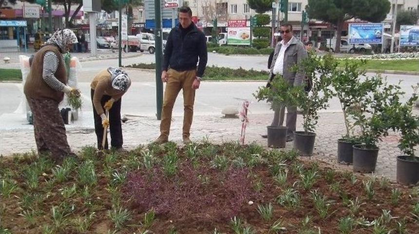 Didim&rsquo;de &Uuml;niversiteliler Parkları D&uuml;zenliyor