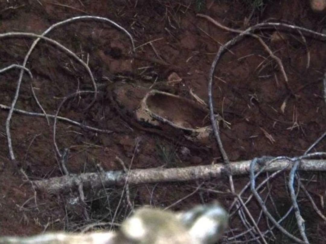 Kayıp Kadının 4 G&uuml;n Sonra Cansız Bedenine Ulaşıldı