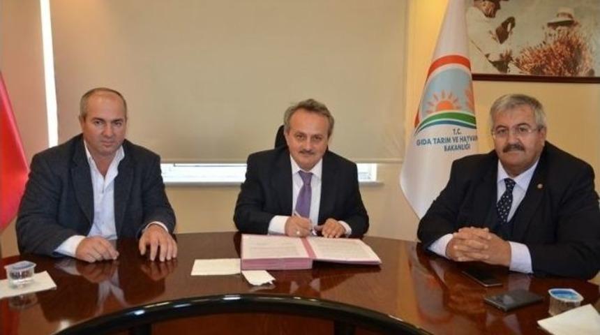 K&uuml;&ccedil;&uuml;kbaş Hayvan Islahı Projesi İmzalandı