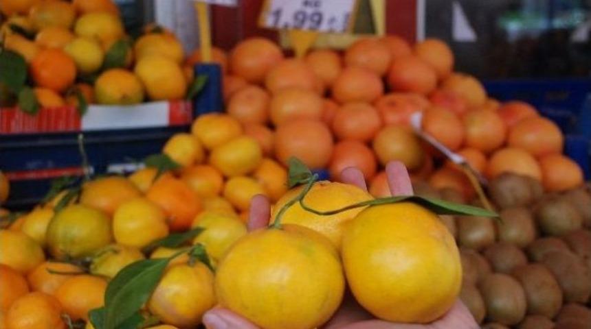 Gribal Enfeksiyona Karşı Meyve