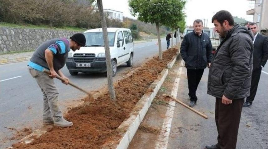 Bahar Mevsiminde Ak&ccedil;akoca G&uuml;l Kokacak