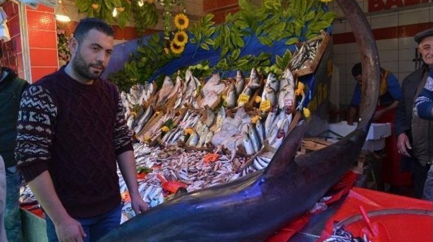 Sardunya Niyetine K&ouml;pek Balığı Tuttular