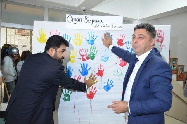 “organ Bağışında Gençlerle El Ele