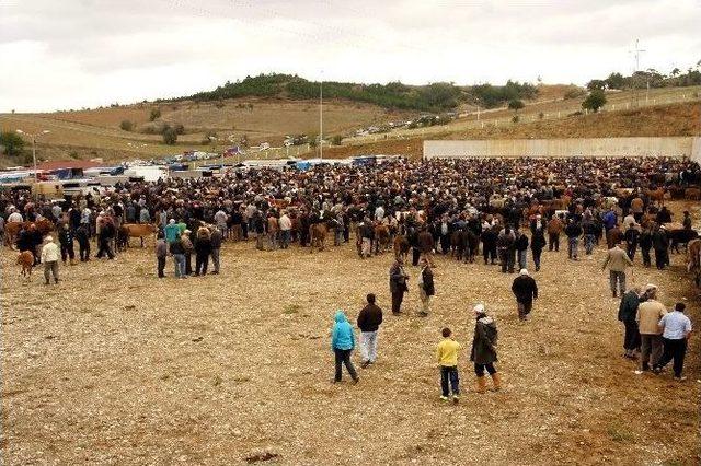 Kastamonu’da Hayvan Pazarları Kapatıldı