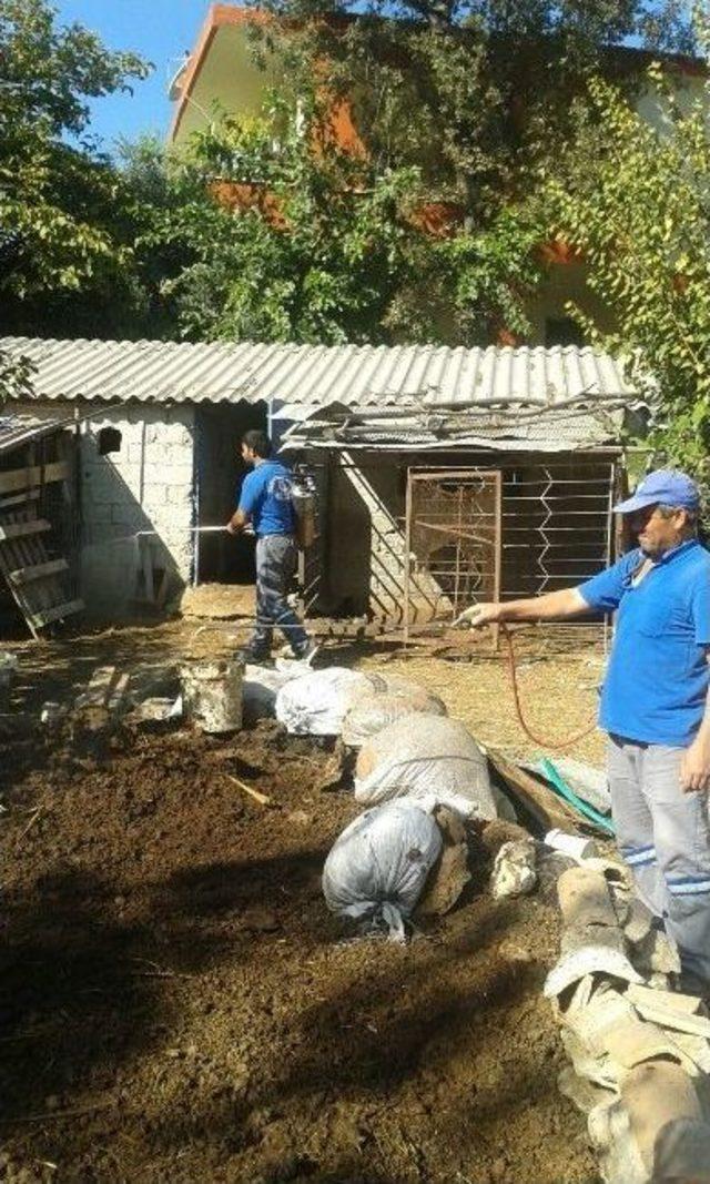 Büyükşehir Belediyesi Ekipleri Hayvan Barınaklarını İlaçladı