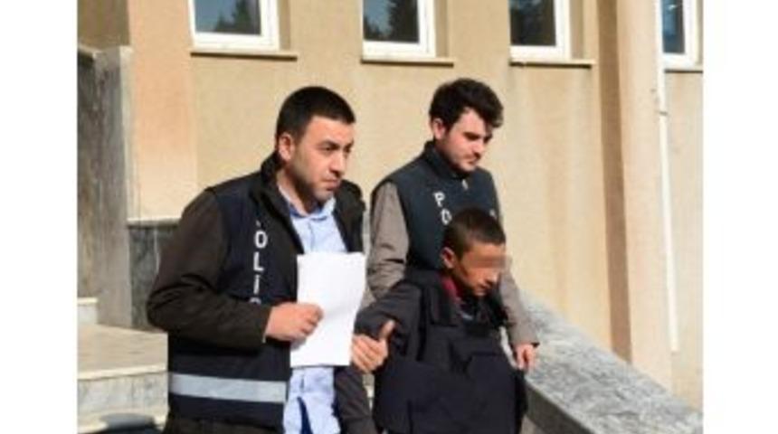 K&ouml;pek Kavgasına 1 Tutuklama