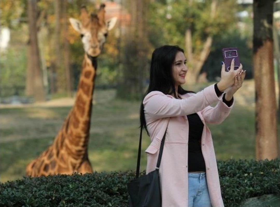 Hayvanat Bah&ccedil;esine Ziyaret&ccedil;i Akını