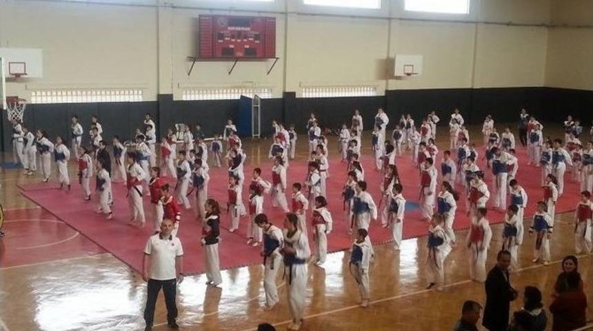 Taekwondo Hazırlık M&uuml;sabakası Yapıldı