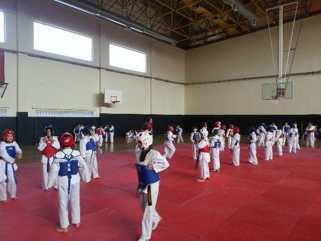 Taekwondo Hazırlık Müsabakası Yapıldı