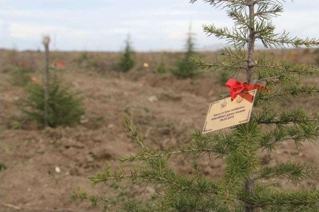 Edirne&rsquo;de Her Nikaha Ve Her Doğan &Ccedil;ocuğa Bir Fidan
