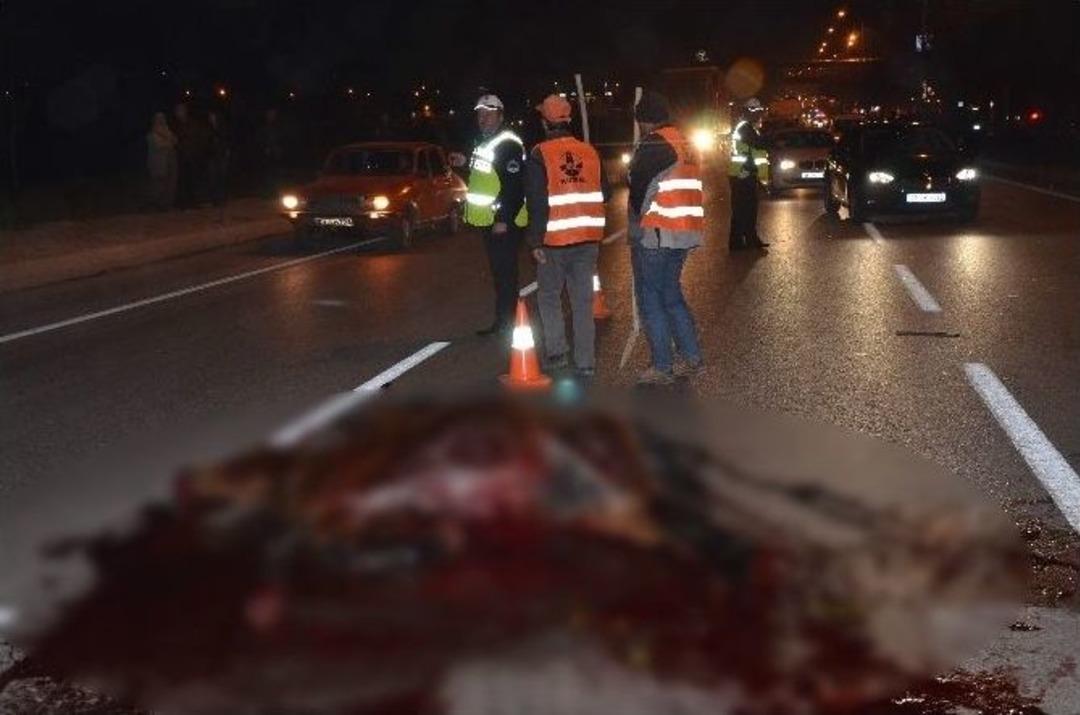 Kamyonetin &Ccedil;arptığı At Telef Oldu, S&uuml;r&uuml;c&uuml; Ara&ccedil;ta Sıkıştı