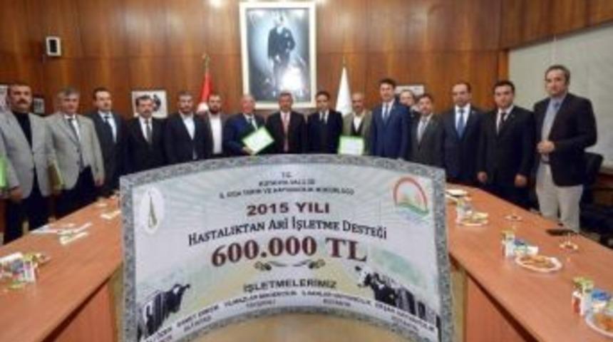 K&uuml;tahya Valisi Şerif Yılmaz: S&uuml;tte İhracat Yapacak Konuma Geldik