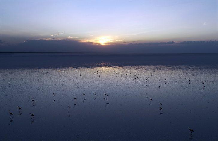 Tuz Gölü'nde ürküten tablo! Hepsi teker teker ölüyor G3