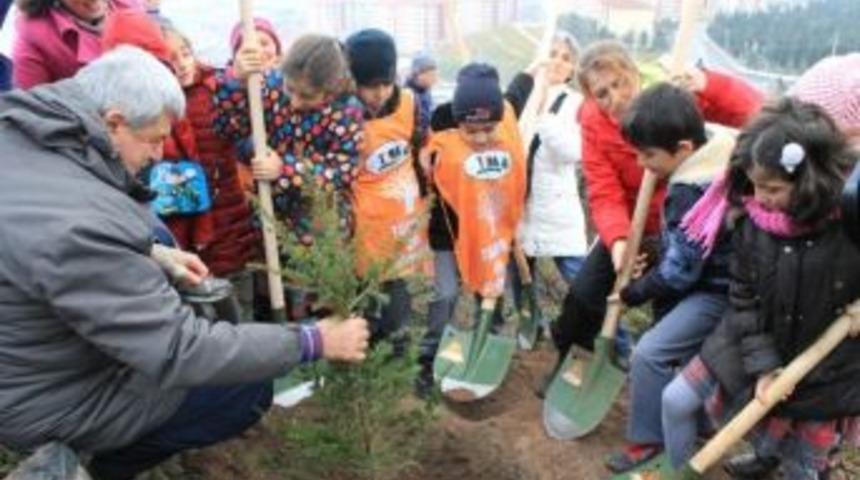 Gebze Beylikdağı Ormana D&ouml;n&uuml;ş&uuml;yor