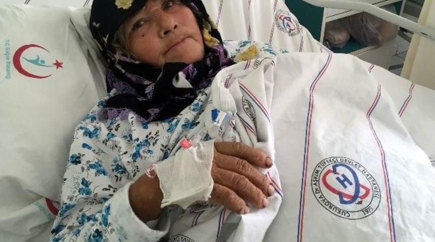 Bah&ccedil;esindeki Ağa&ccedil;ta Zeytin Toplayan Kadın, Kuş Sanılarak Vuruldu