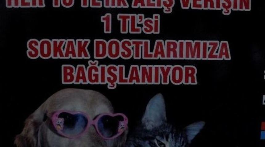 Kazancının Y&uuml;zde 10&rsquo;unu Sokak Hayvanlarına Bağışlıyor