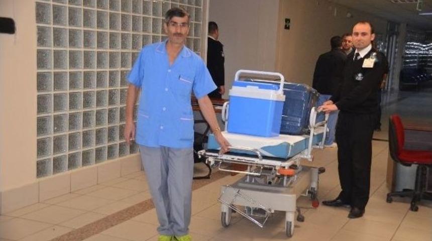 B&ouml;brek Beklerken Karaciğerini Bağışladı