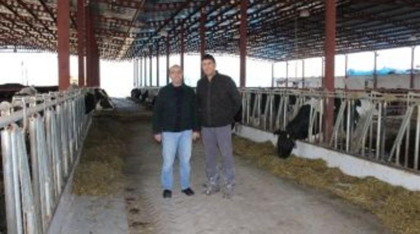 Besicilere Şap Uyarısı