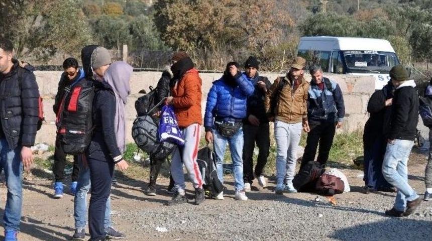 &Ccedil;anakkale&rsquo;de 281 Ka&ccedil;ak Yakalandı