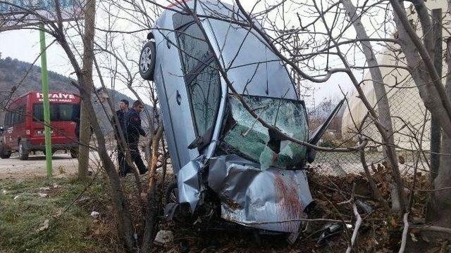 Tokat’ta Otomobil Ağaca Çarptı: 2 Yaralı