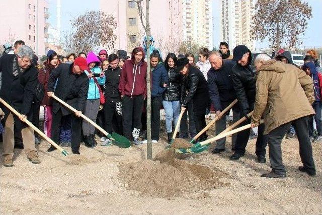 Eskişehir Olimpiyat Ormanı Genişliyor