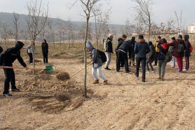 Eskişehir Olimpiyat Ormanı Genişliyor