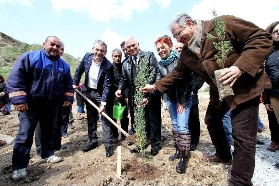 Fidan Dikmeyene Ruhsat Yok