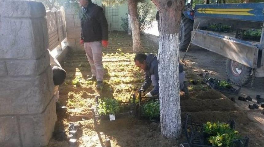 Borlu Parkı&rsquo;na B&uuml;y&uuml;kşehir Eli Değdi