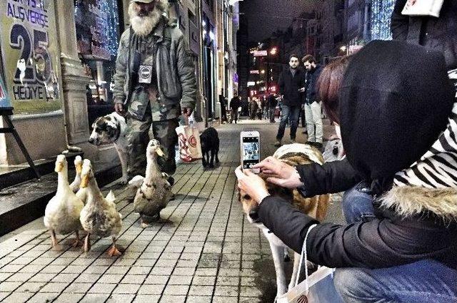 İstiklal Caddesinde Ördek Sürüsüyle Gezdi