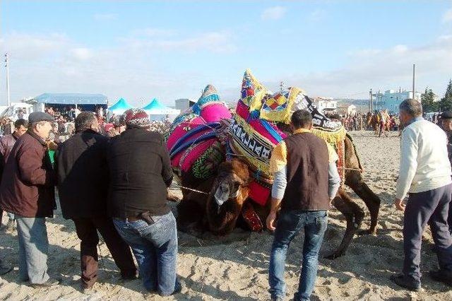 73 Yaşındaki Kadın Devesiyle Güreşlere Katıldı