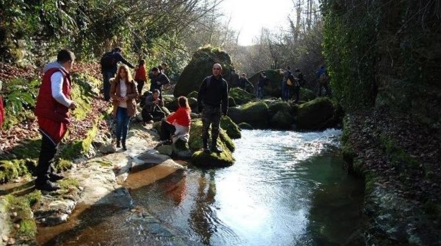 Odak&rsquo;tan Doğa Y&uuml;r&uuml;y&uuml;ş&uuml;
