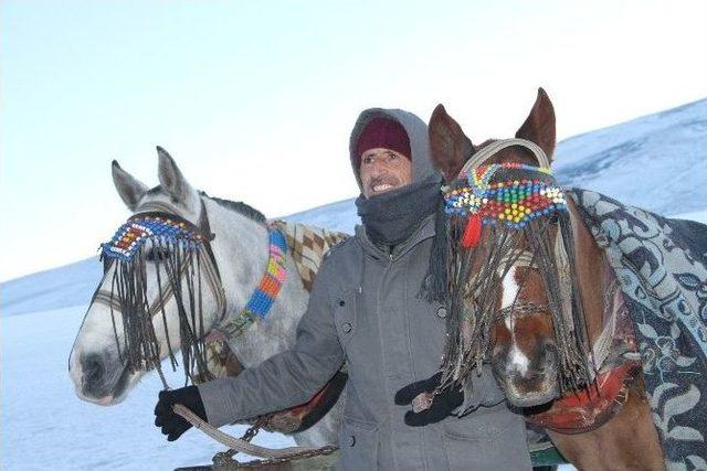 Çıldır Gölü’nde Atlı Kızak Keyfi Başladı