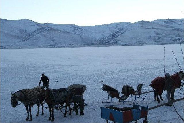 Çıldır Gölü’nde Atlı Kızak Keyfi Başladı