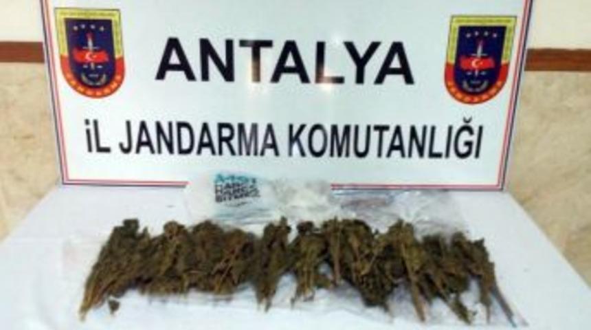 Manavgat&rsquo;ta Uyuşturucu Operasyonu
