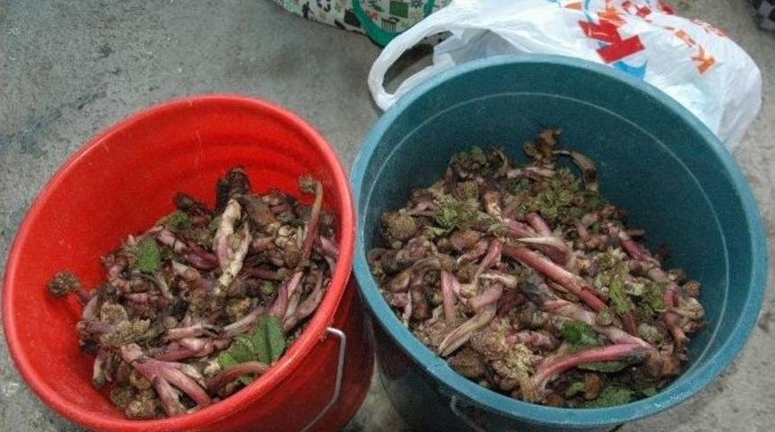 Kış Mevsiminin Vazge&ccedil;ilmezi Ispıt Rağbet G&ouml;r&uuml;yor