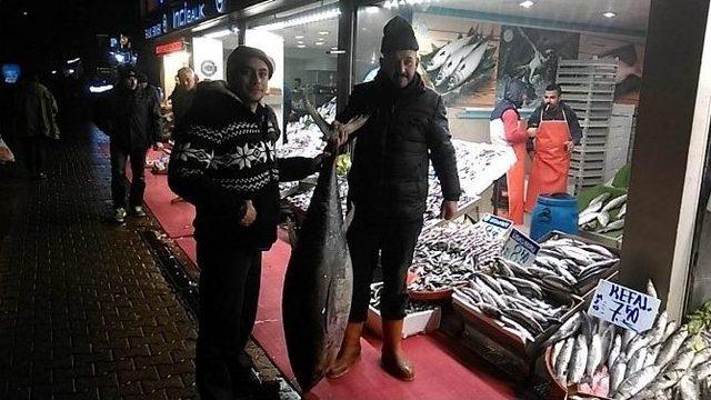 1 Metre 58 Santimlik Orkinosa Vatandaşlardan Büyük İlgi