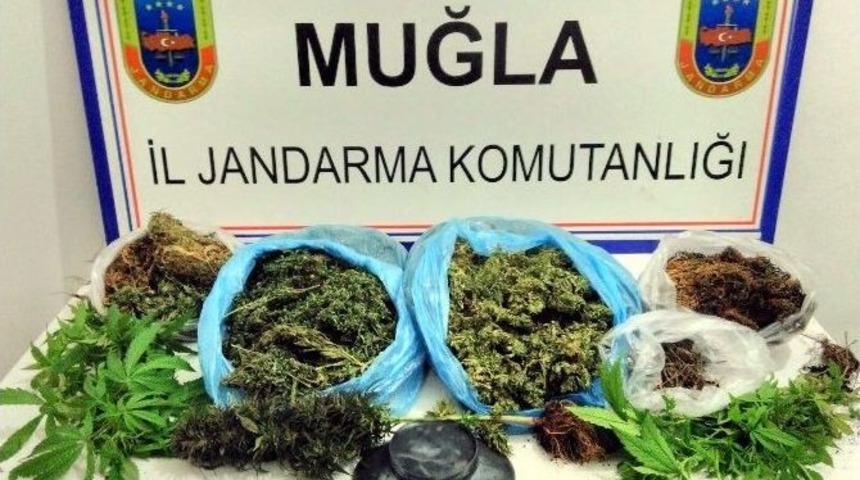 &lsquo;resim&rsquo; Toprağa G&ouml;m&uuml;l&uuml; 10 Kilo Esrarı Ortaya &Ccedil;ıkardı